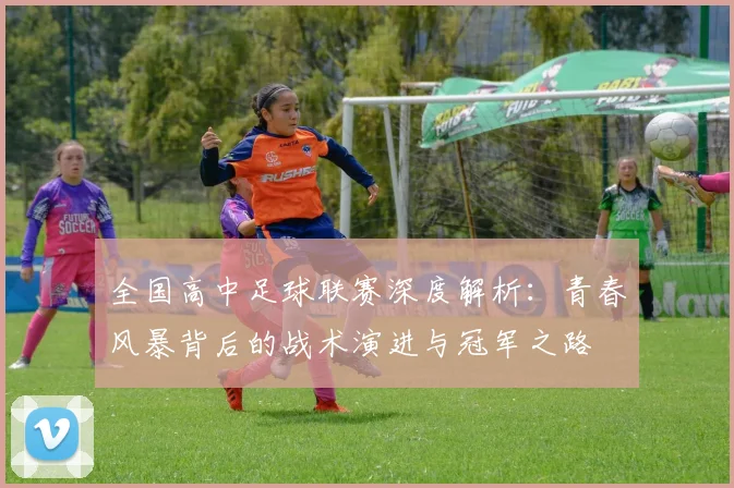 全国高中足球联赛深度解析:青春风暴背后的战术演进与冠军之路